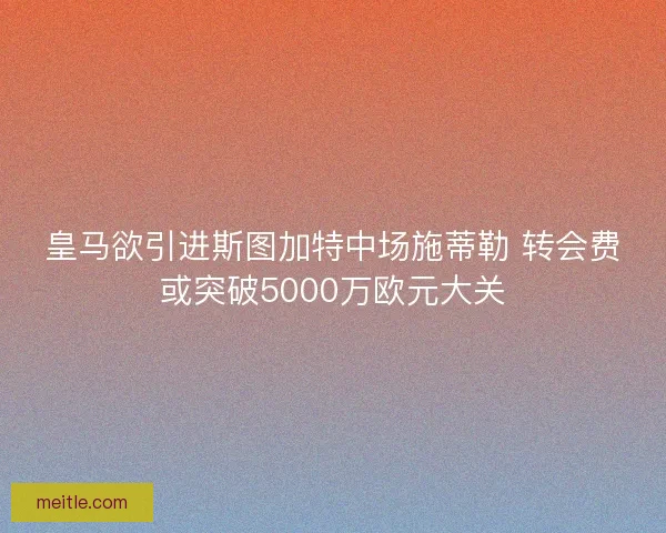皇马欲引进斯图加特中场施蒂勒 转会费或突破5000万欧元大关